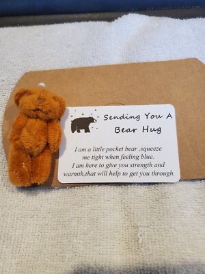  CUTE ~Handmade Little Pocket teddy Bear Hug~ Box And Card Included