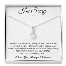 I'm Sorry Necklace Gifts, Apology Gifts For Her, Forgiveness Gift, Wife Gift