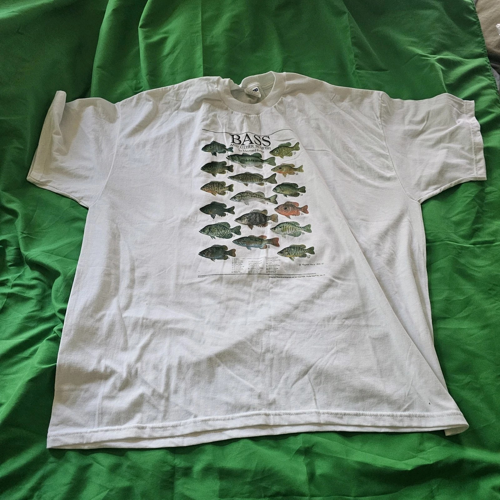 ALTRA Jerzees Activewear basso e altri pesci sole