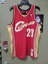 Mitchell & Ness Jersey Lebron James 2003-04 Cleveland Cavaliers L Large NBA JA