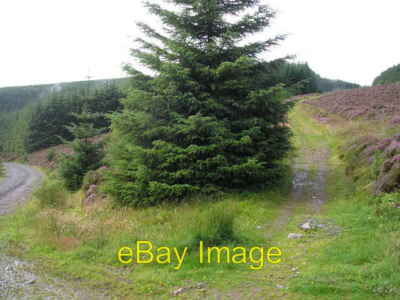 Photo 6x4 Southern Upland way from Little Minch Moor West Bold  c2008