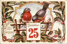 Vintage PPC - Wishing You A Merry Christmas - F21092