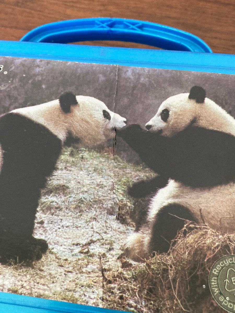 Smithsonian National Zoo Panda Bear Plastic Lunch Box Hard Shell