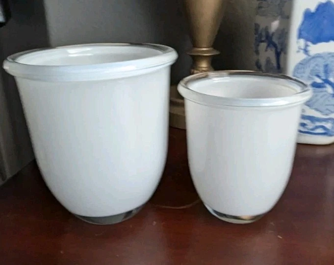 Juego de jarrón de vidrio opalino blanco de doble pared Pottery Barn candelabro maceta para orquídeas Foto 3 de 4