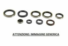 ATHENA KIT PARAOLI MOTORE KTM 250 EXC 2004-2016