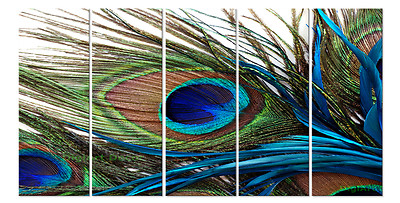 PEACOCK FEATHER 5 piece mounted on MDF panel wall art prints
