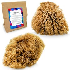 Natural Artist Sea Sponges for Painting 2 Pack  Large Art Tools for Decorati...