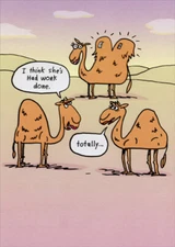 Designer Greetings She's Had Some Work Done Funny / Humorous Birthday Card