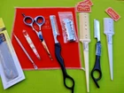 5.5" Scissors  + 4 x Hairdressing Hair Razor /Shaper/Styling Feather Combs