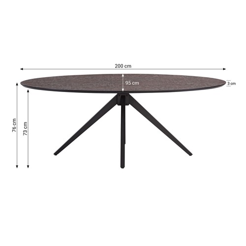 Esstisch 200 cm Esszimmertisch Oval Tisch Esszimmerstühle 4er Set Homestyle4u - Bild 8 von 36