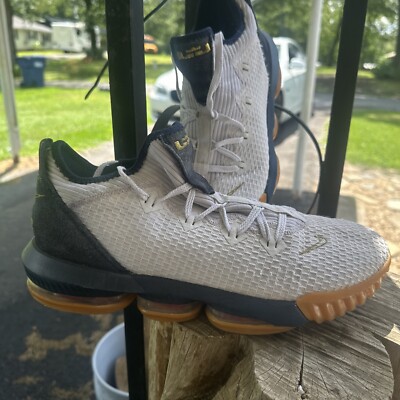 Men's Sz 12 Nike Lebron XVI 16 Low Olympic Team USA | eBay