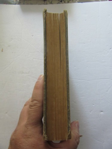 The New Geology by George McCready Price plus 2 articles 1923 antique - Picture 4 of 12