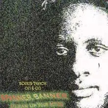 CD Spanner Banner Clean Up Your Action Hibiscus Records