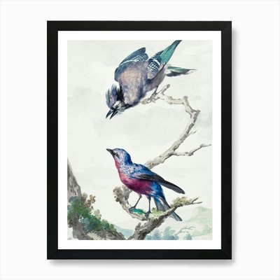 Vintage Vogel Kunstdruck_2835720 Kunst gerahmt Wandbild Poster Leinwanddruck Bild