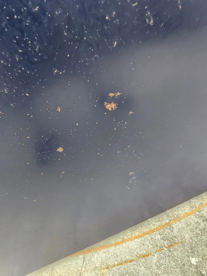 Camioneta pickup Mazda B2000 B2200 1989-93 2/4x4 capó original capó azul usada Foto 4 de 4