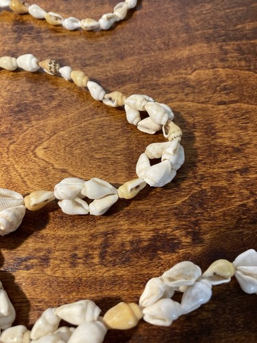 Vintage Sea Shell Beach Surf Coastal Necklace No Closure 36 in - Picture 3 of 11