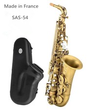 Alto Saxophone SAS-54, Bb Tone, Antique Matte Finish,Includes Case  Accessories