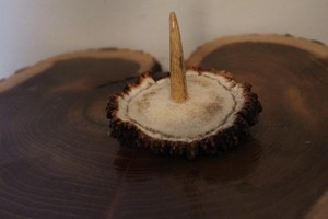 Custom Made  Elk Burr Turkey Wing Bone or Trumpet Call Display Stand