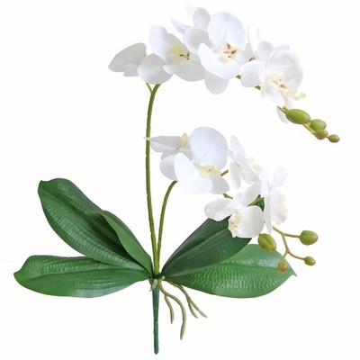 Elyjhyy 2 Branches Artificial White Phaleanopsis Flowers 22.7 inches,