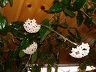 Bild 8 von 8