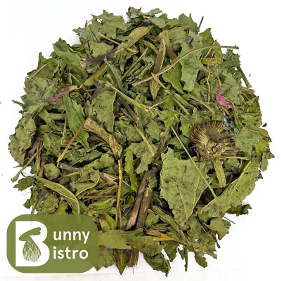 BUNNY BISTRO Dried Echinacea Stems & Leaves - 100g - 1kg, Rabbit, Guinea Pig, Natural Food