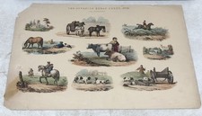 Impresión Antigua "Las Hojas de Chatarra Juvenil" Nº 10 ilustraciones de granja L20
