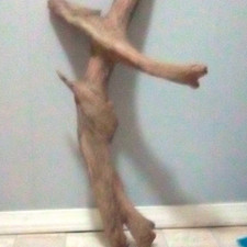 Natural Brown Wood Driftwood/Root Branch Aquarium Decoration for All Water Types