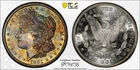 💎 Pristine Galaxy Toned Morgan Silver Dollar PCGS Gold Shield MS-66+💎 See Vid