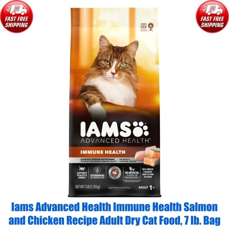 Iams cat food salmon cheap