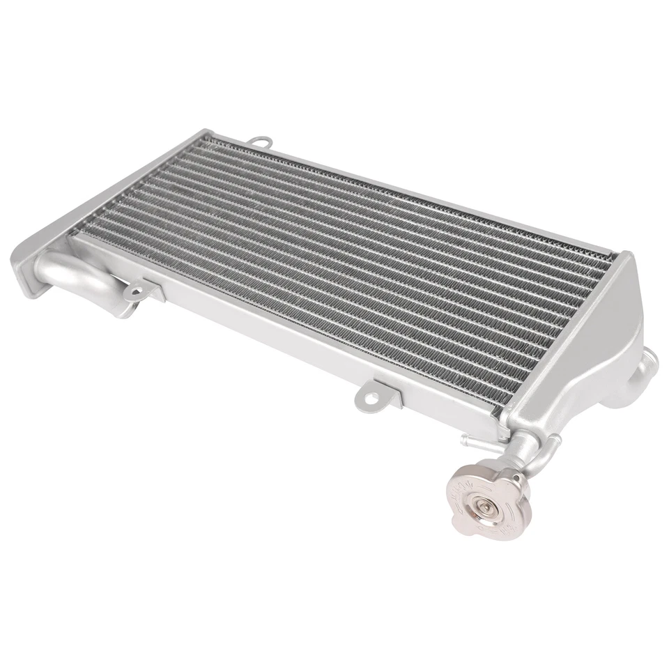 For Ducati 899 959 1199 1299 Panigale Engine Radiator Cooler Cooling Silver Foto 3 de 4