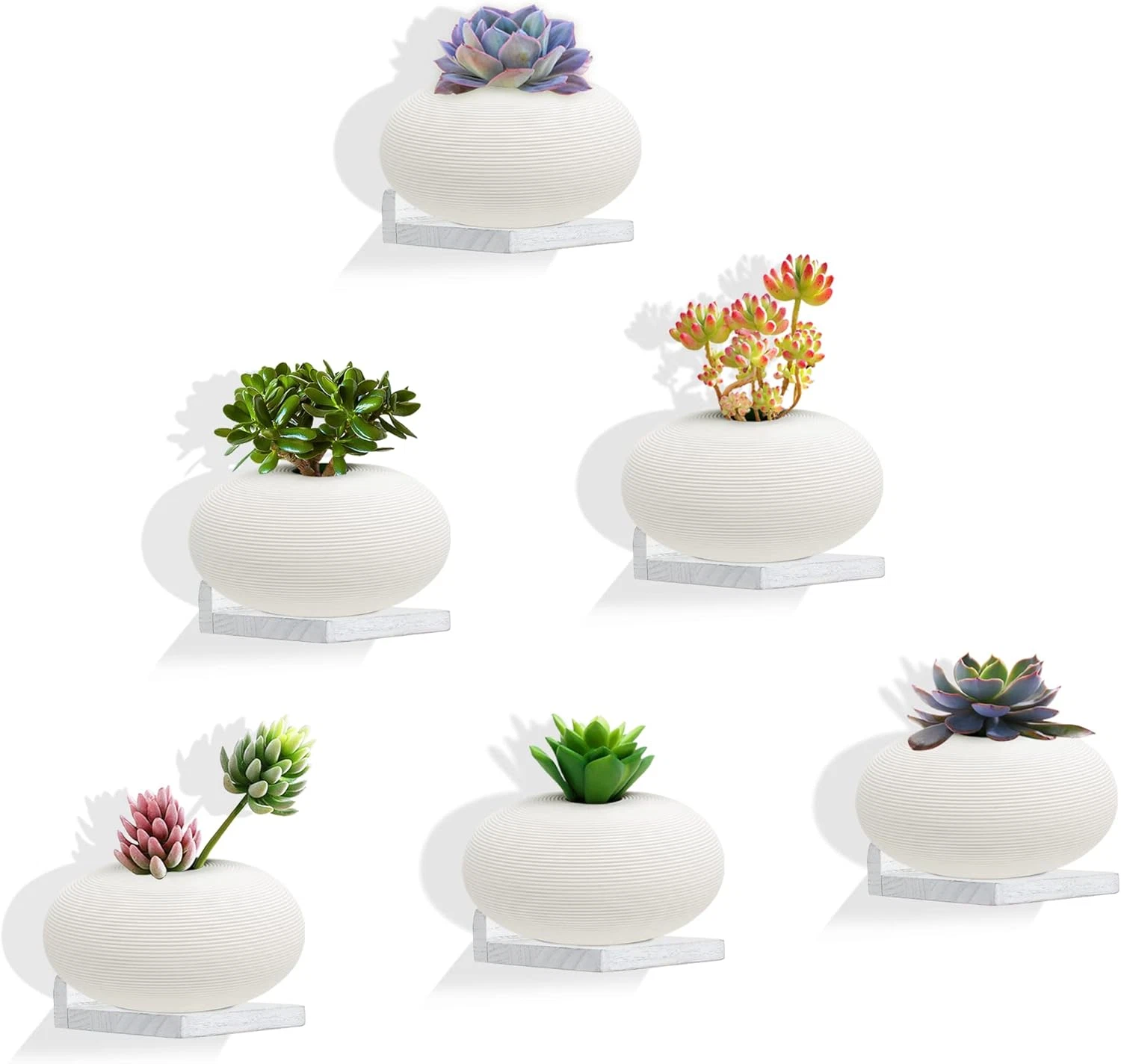 Small Floating Shelves,5X5 Inch Display Ledges for Wall,Set of 6 Small Shelves,R