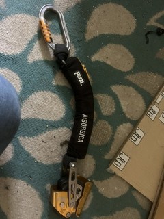 Petzl ASAP Lock and Petzl Absorbica