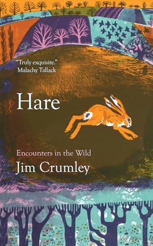 Hare - Image 6