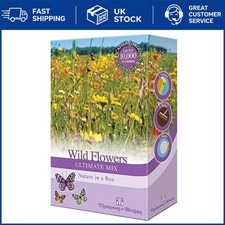 15g Ultimate Wildflower Seed Mix - Easy Grow Annuals & Perennials for Gardens 1330.00 per kilo
