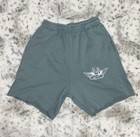 🆕 NWOT Boys Lie | Classic V2 Sweat Shorts | Lead | Size Small **Flawed** — photo 3