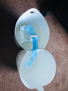 diaper genie expressions