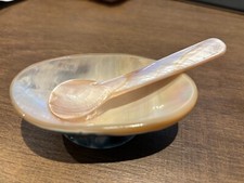 Set of Natural mother of pear Polished Abalone Shell Plate and Spoon for Caviar