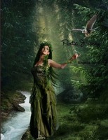 Angelia Scott | Poetic Journey | Taschenbuch | Englisch (2013) | [.]
