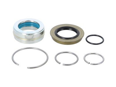 Reparatursatz DT Spare Parts 7.96007 Reparatursatz Hydraulikzylinder Teilesatz