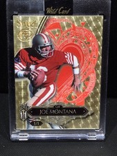 Joe Montana True 1/1 Gold Vinyl Artist Proof Case Hit 49ers Rare Wild Art 1 Of 1