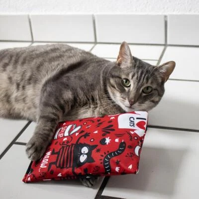 4cats - Crazy Collection Raschelkissen Katzenspielzeug mit Katzenminze & Silvervine oder...
