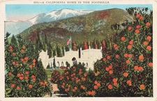 Orange Groves California Home in Foothills Posted 1928