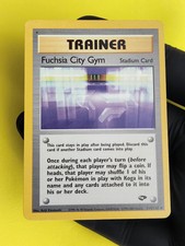 Image for Fuchsia City Gym