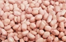 2025 50+ USA Jumbo Peanut Seeds for Planting, Non-GMO Heirloom, Fast Shipping