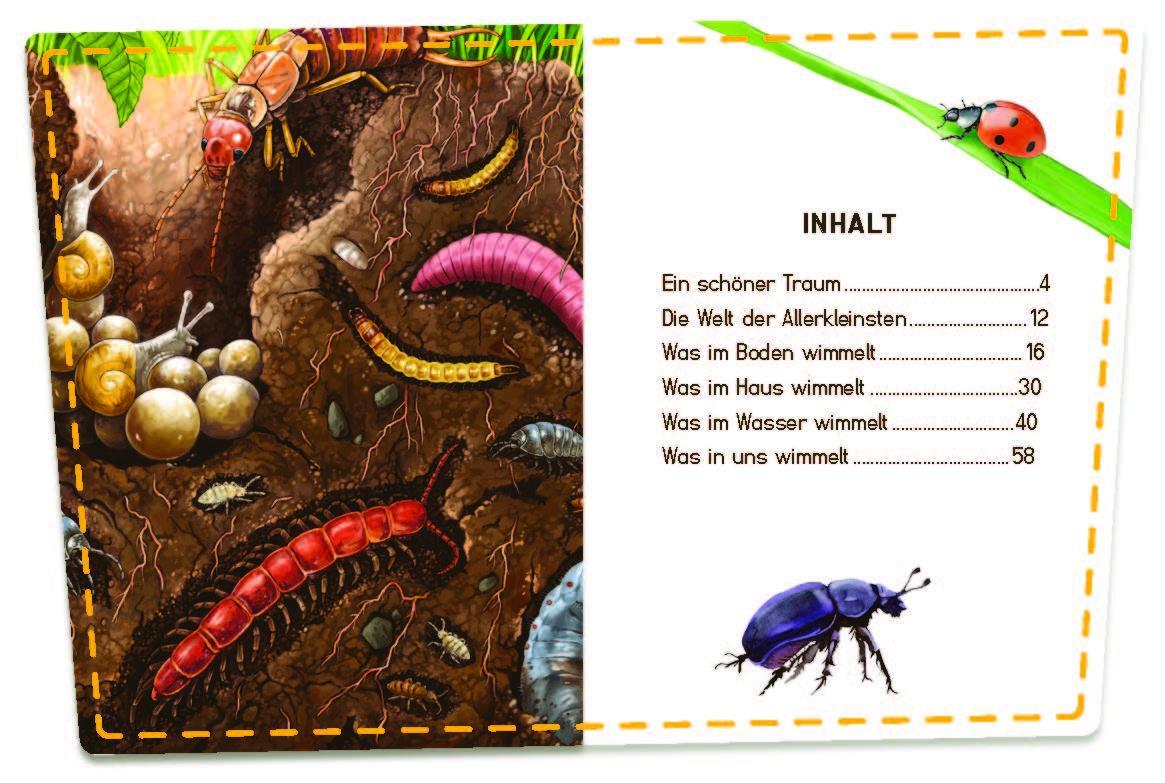 Thumbnail - Klein, Mini, Mikro Dencker Isabel