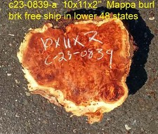 Mappa burl  Poplar  burl slab  wood craft ideas  DIY wood  c23-0839