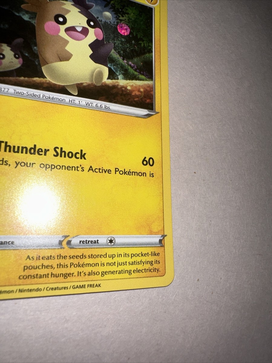 Pokémon TCG Morpeko Pokemon Promos SWSH012 Holo Promo | eBay
