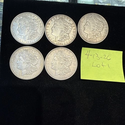 lot of 5 morgan silver dollars