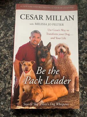 Pack Leader Cesar Millan Possessive Dog Dog Whisperer With Cesar
