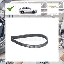 Continental Ctam Keilrippenriemen VW GOLF VII (5G1, BQ1, BE1, BE2) 2.0 GTI